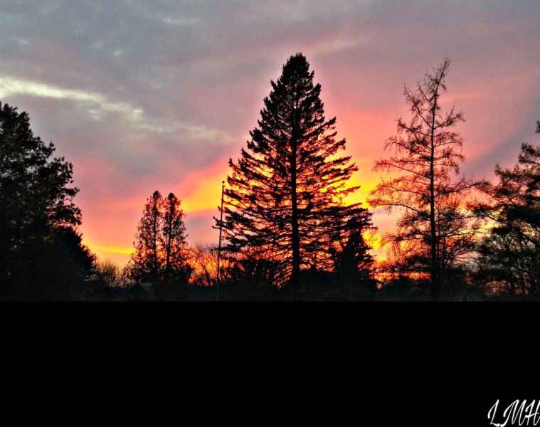 Beautiful Night Sky in Barrington, New Hampshire