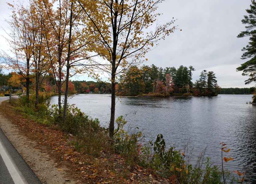 Fall Foliage in Barrington, New Hampshire