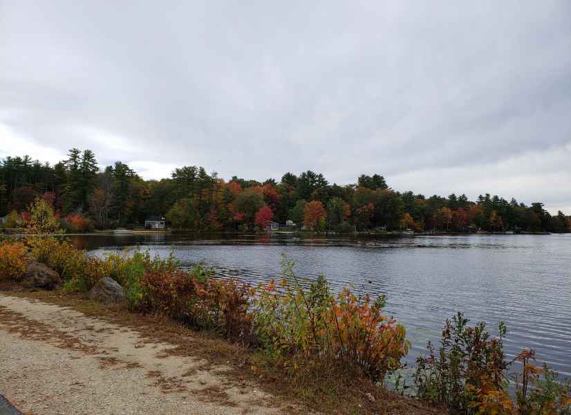 Fall Foliage in Barrington, New Hampshire