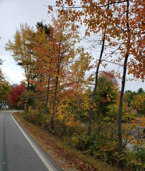 Fall Foliage in Barrington, New Hampshire