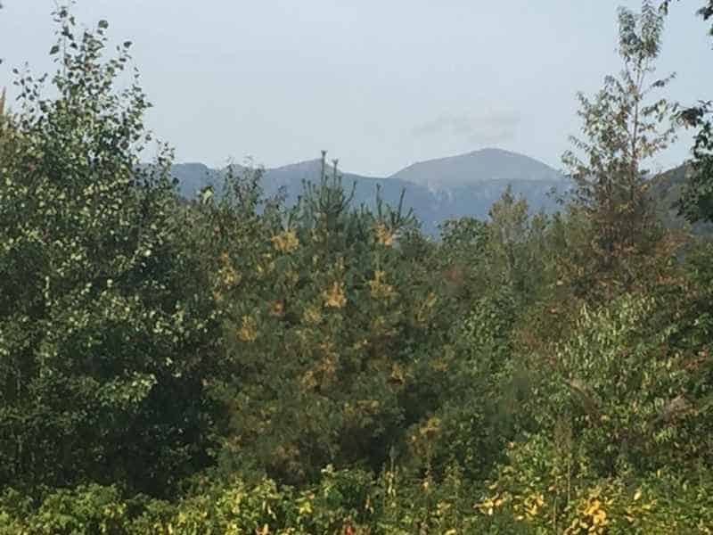 Fall Foliage in Crawford Notch from Dana Moore II