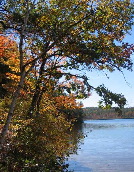 Fall Foliage in New Hampshire in October 2006