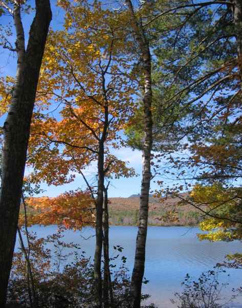 Fall Foliage in New Hampshire in October 2006