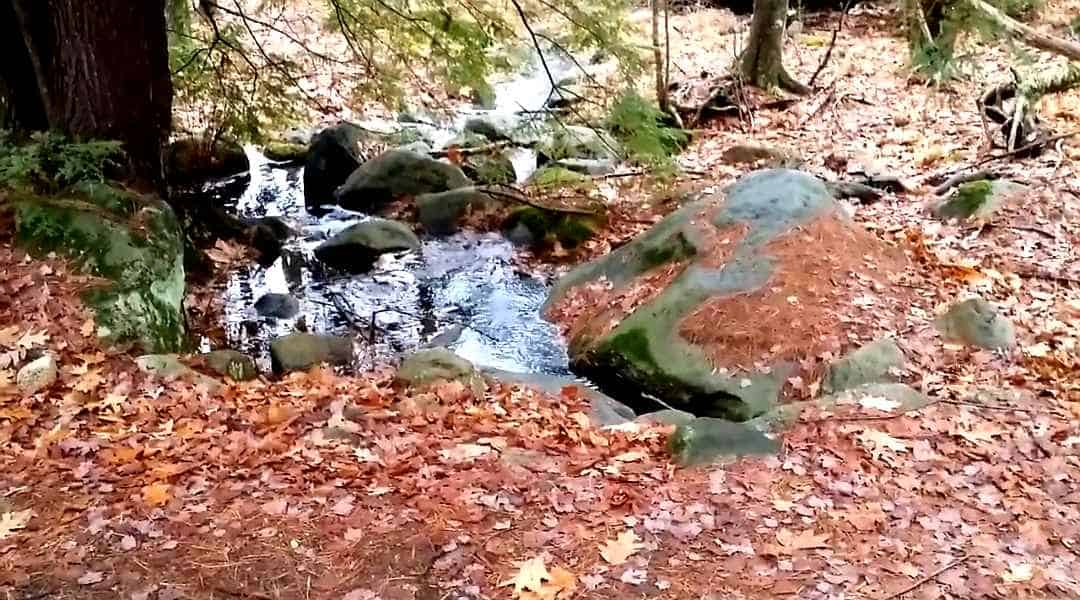 Fall in New Hampshire from Lisa Hoffman