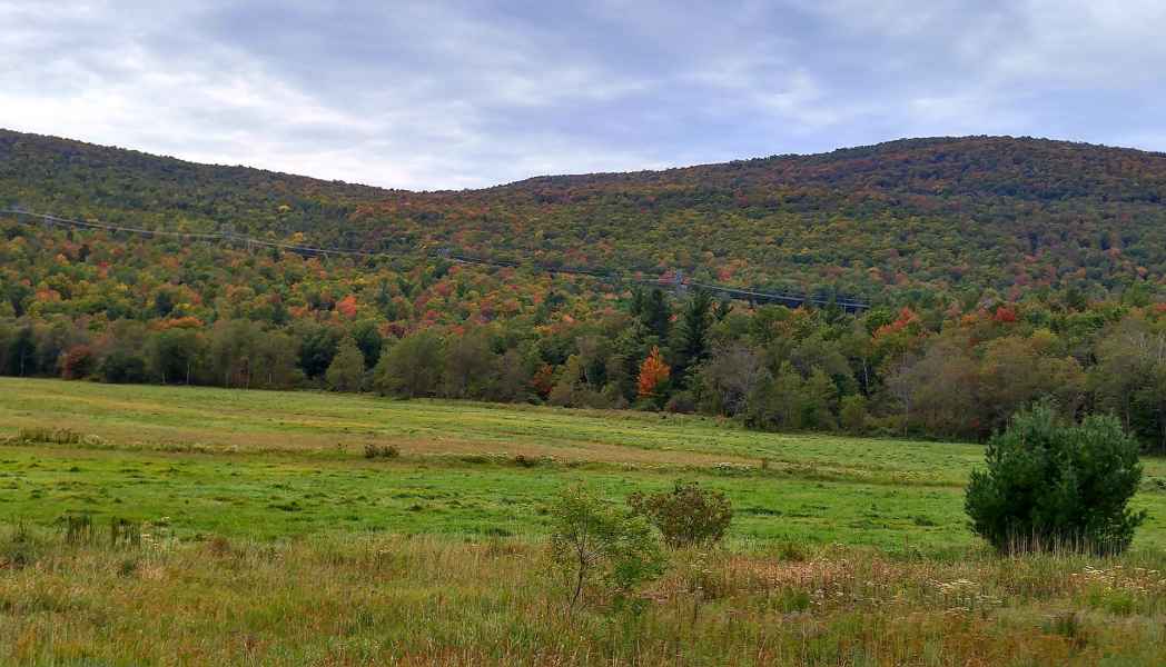 Fall in New Hampshire from Lisa Hoffman