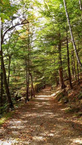 Fall Foliage in New Hampshire from Lisa Hoffman