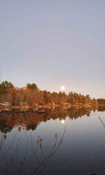 Fall Foliage at the Lake in Barrington from Lisa Hoffman