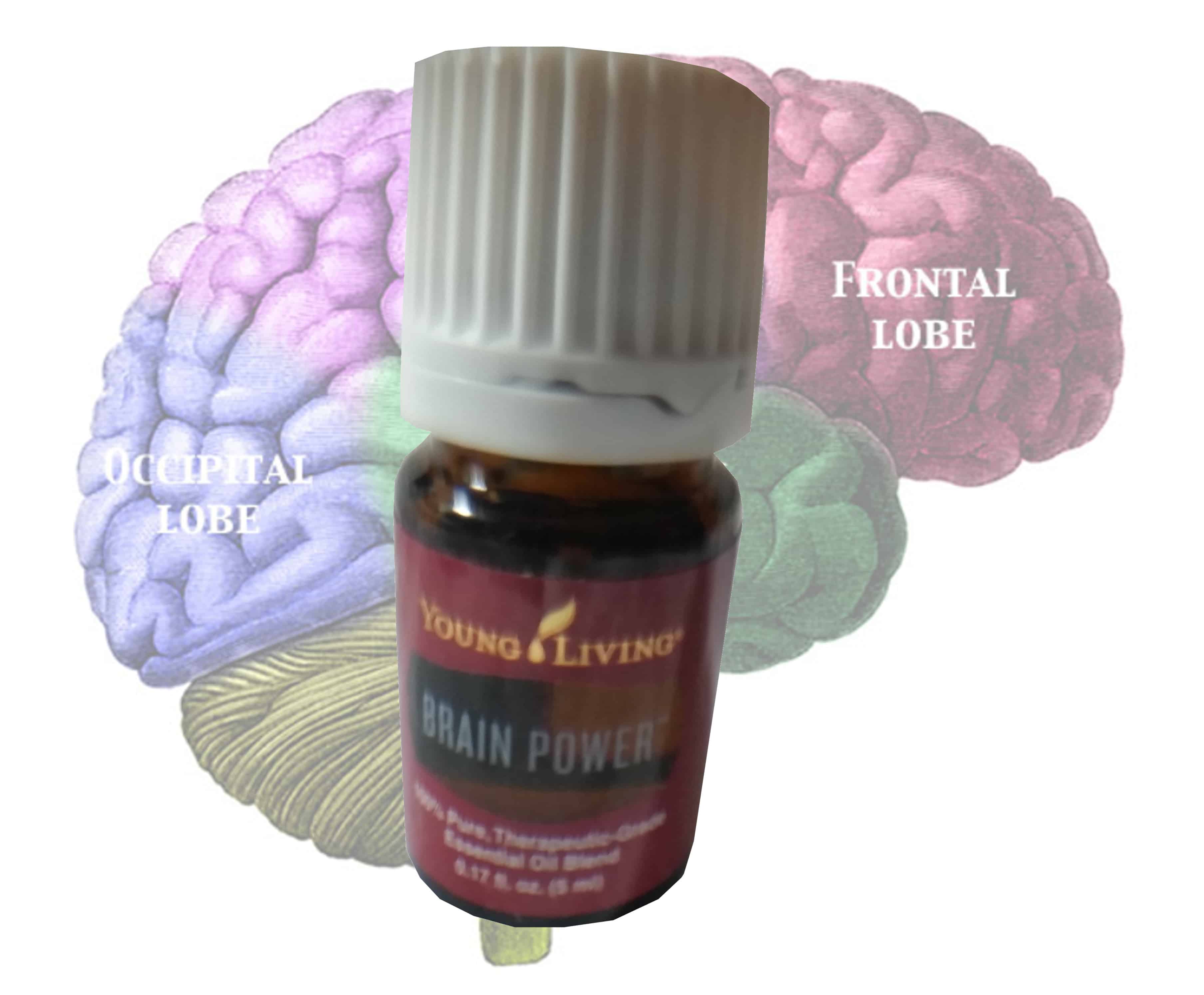 Brain Power Essential Oil - Young Living